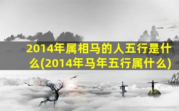 2014年属相马的人五行是什么(2014年马年五行属什么)