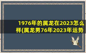 1976年的属龙在2023怎么样