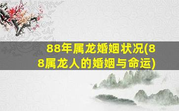 88年属龙婚姻状况(88属龙人