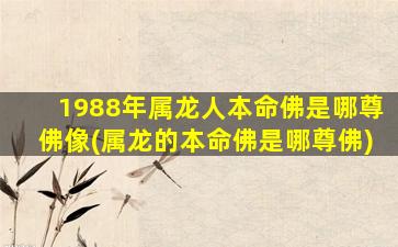 1988年属龙人本命佛是哪尊佛像(属龙的本命佛是哪尊佛)