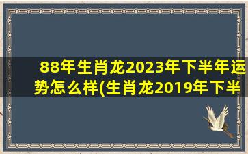 88年生肖龙2023年下半年运势怎么样(生肖龙2019年下半年运势走势)