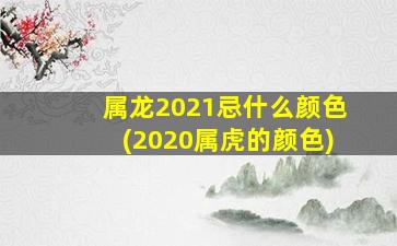 属龙2021忌什么颜色(2020属