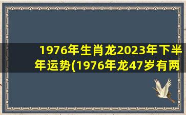 1976年生肖龙2023年下半年运