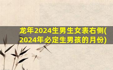 龙年2024生男生女表右侧