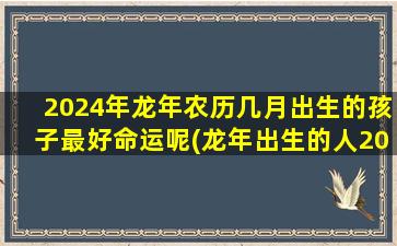 2024年龙年农历几月出生的孩子最好命运呢(龙年出生的人2020年运程)