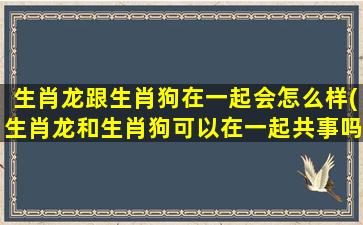 生肖龙跟生肖狗在一起会怎么样(生肖龙和生肖狗可以在一起共事吗)