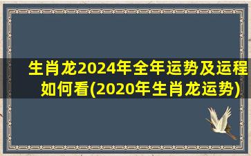 生肖龙2024年全年运势及运