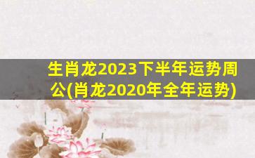 生肖龙2023下半年运势周公