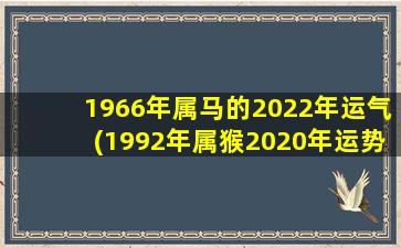 1966年属马的2022年运气