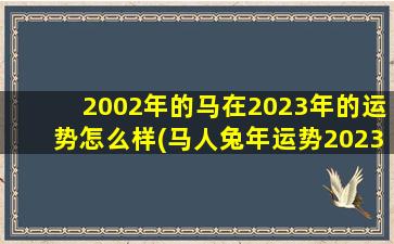 2002年的马在2023年的运势怎么样(马人兔年运势2023运势详解)