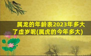 属龙的年龄表2023年多大