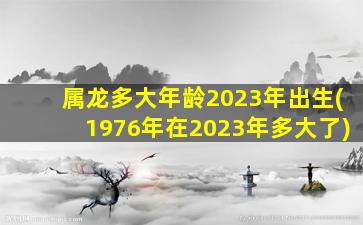 属龙多大年龄2023年出生