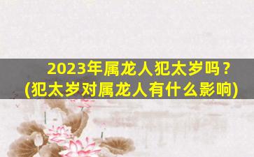 2023年属龙人犯太岁吗？