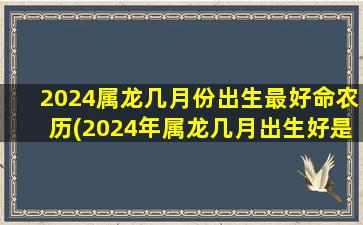 <strong>2024属龙几月份出生最好命</strong>