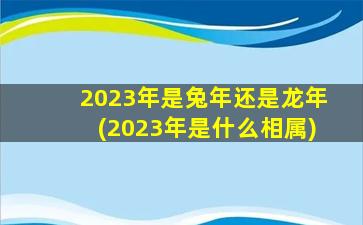 2023年是兔年还是龙年(20