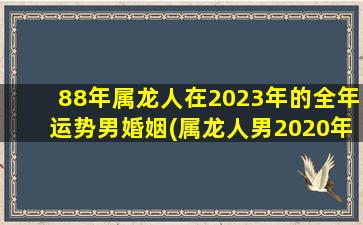 88年属龙人在2023年的全年