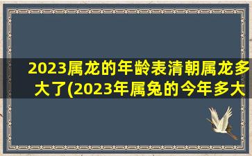 2023属龙的年龄表清朝属