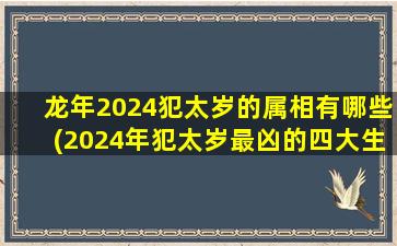 龙年2024犯太岁的属相有哪些(2024年犯太岁最凶的四大生肖)