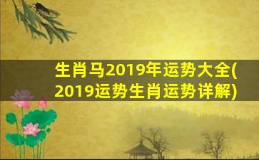 生肖马2019年运势大全(