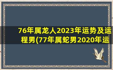 76年属龙人2023年运势及运