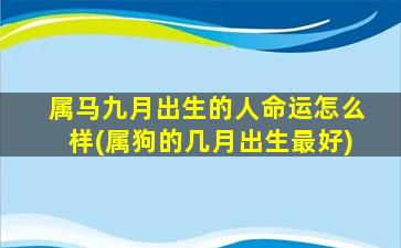 属马九月出生的人命运怎么样(属狗的几月出生最好)