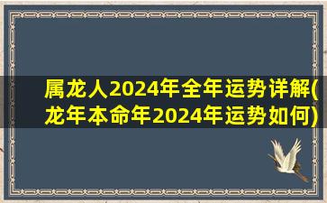 属龙人2024年全年运势详解(龙年本命年2024年运势如何)