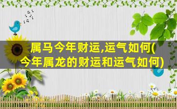 属马今年财运,运气如何(今年属龙的财运和运气如何)