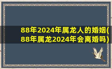 88年2024年属龙人的婚姻(