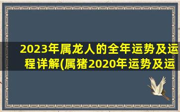 <strong>2023年属龙人的全年运势及</strong>