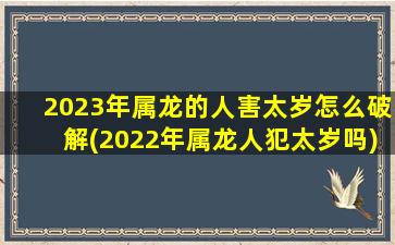 2023年属龙的人害太岁怎么破解(2022年属龙人犯太岁吗)