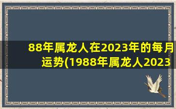 88年属龙人在2023年的每月运势(1988年属龙人2023年运势)