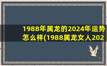 1988年属龙的2024年运势怎么