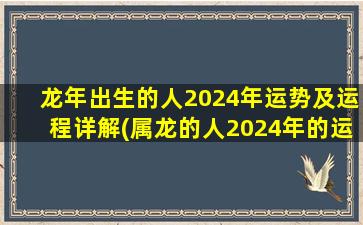 龙年出生的人2024年运势及