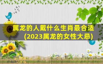 属龙的人戴什么生肖最合适(2023属龙的女性大忌)