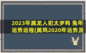 2023年属龙人犯太岁吗 兔年