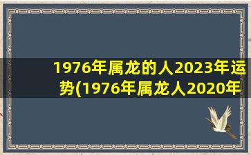 1976年属龙的人2023年运势