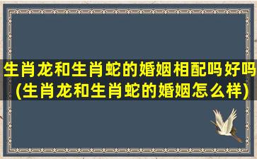 生肖龙和生肖蛇的婚姻相