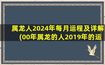 属龙人2024年每月运程及