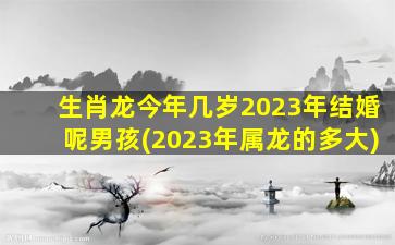 生肖龙今年几岁2023年结