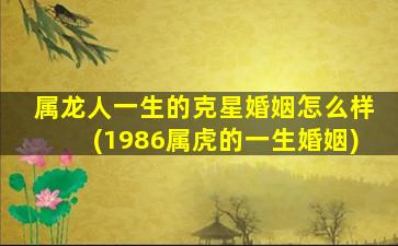 属龙人一生的克星婚姻怎么样(1986属虎的一生婚姻)