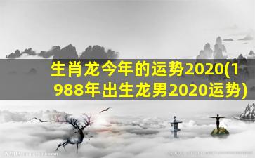 生肖龙今年的运势2020(