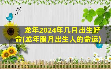 龙年2024年几月出生好命