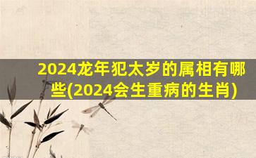 2024龙年犯太岁的属相有