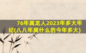 76年属龙人2023年多大年纪