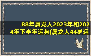 88年属龙人2023年和2024年