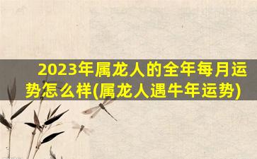 2023年属龙人的全年每月