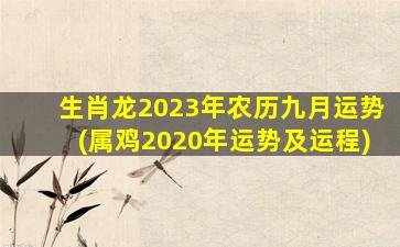 生肖龙2023年农历九月运