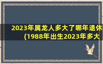 2023年属龙人多大了哪年