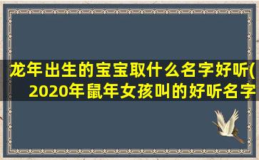 龙年出生的宝宝取什么名字好听(2020年鼠年女孩叫的好听名字)