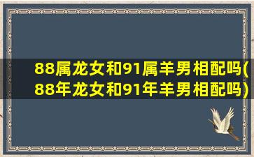 88属龙女和91属羊男相配吗(88年龙女和91年羊男相配吗)